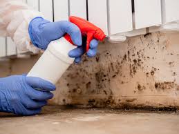 Best Biohazard Mold Removal  in Johnsonburg, PA